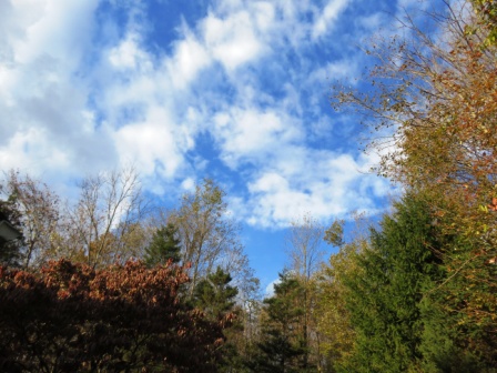 Vivid blue sky with white puffy clouds showing a heart amidst autumn trees