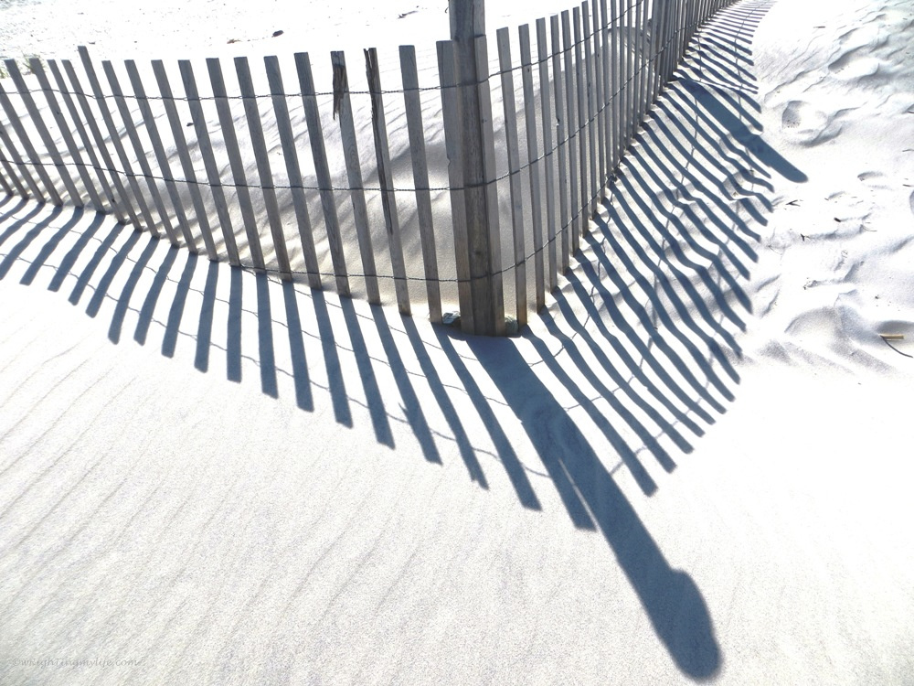 Black Shadowed Fence on Grey Sand