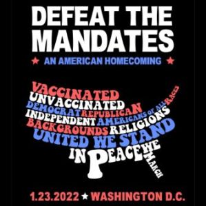 Defeat the Mandates USA